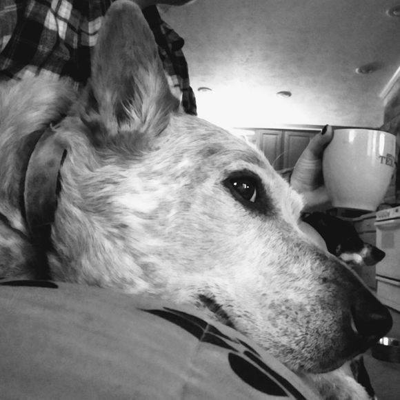 Meet your Posher, Rynell - Picture 1 of 1